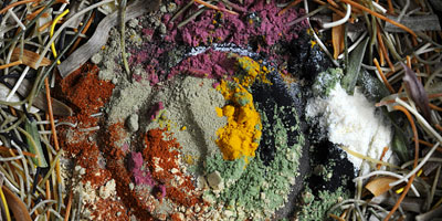 Lebensfülle in Nudelform